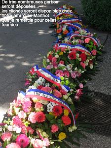 AOBR 2014 07 05 AIX EN PROVENCE CEREMONIE COMMEMORATIVE DU MASSACRE DU 5 07 1962 A ORAN (9)